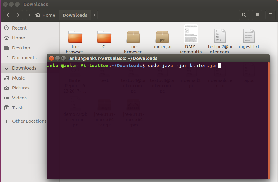 PC_on_Linux.png