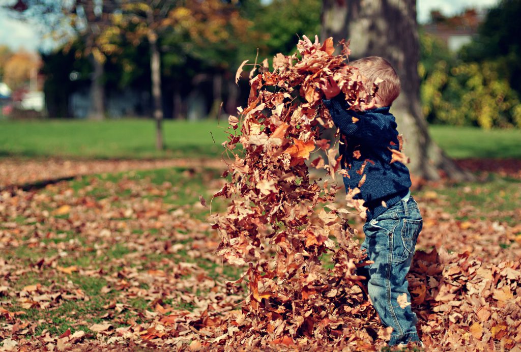 Little boy playing