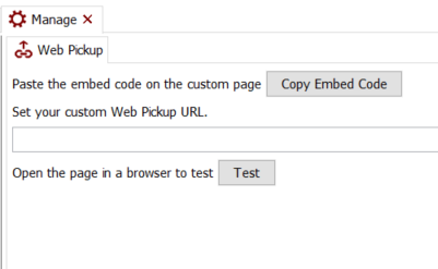 FILE SHARING SOLUTION FOR PROFESSIONAL PHOTOGRAPHERS web pickup settings - deliver content on your website